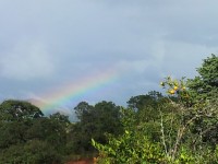 Beautés de la nature