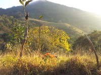 Beautés de la nature