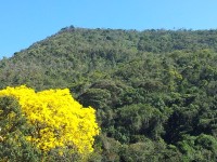 Beautés de la nature